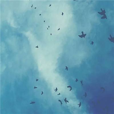 万博manbetx登录下载手机版